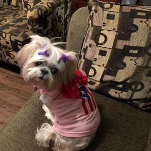 Meet your Posher, Tamara